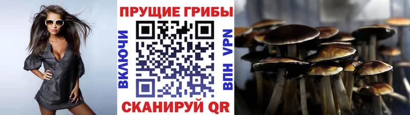гидра ссылка продажа наркотиков Калининец Галлюциногенные грибы Psilocybe